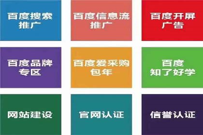 百度竞价推广成功案例：快速提升品牌知名度